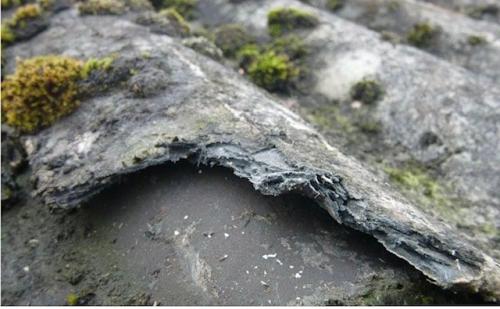 eterclean Asbestentferner