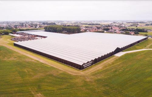 Industrielle Dachsanierung