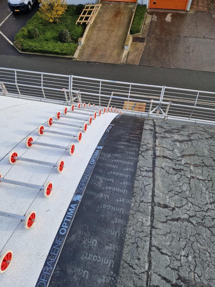 Nachhaltige Umgestaltung eines industriellen Parabol-Dachs 2